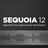 sequoia12(附注册机)v22.0中文下载,音频处理软件